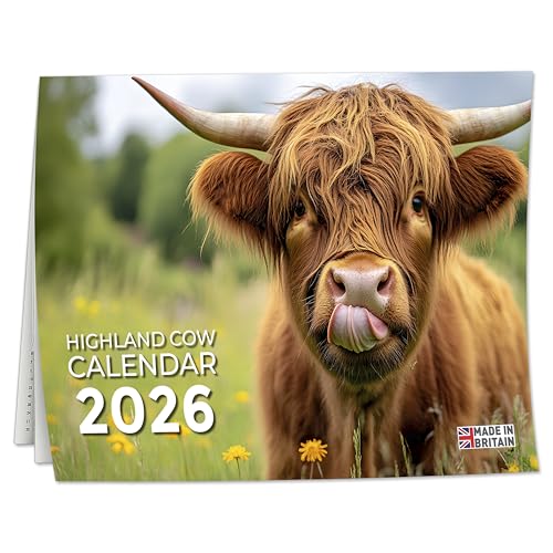2026 Calendar Highland Cow Wall Calendar UK A3 Month-to-View (Jan 2026 Dec 2026) Eco-Friendly A3 Size When Open Made in the UK