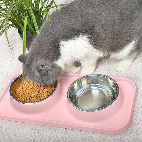 L.D.Dog Katzenfutternäpfe, Katzennäpfe, rutschfest und auslaufsicher, Silikonmatten mit Ständer, herausnehmbare Edelstahl-Futter- und Wasserschalen für Katzen (Pink)