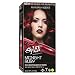 Splat Rebellious Fantasy Complete Hair Color Kit Midnight Ruby