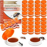 80 Stück Ameisenköderdose für Innen & Außen,- Ameisen Dose - Ameisen Köderdose - Ameisenköder - Ameisendose – Ameisenköderbox - Geruchsneutral