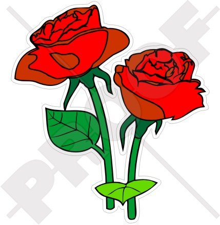ROUGE ROSES Fleurs Rose Anglaise, 100mm Vinyl Sticker, Autocollant