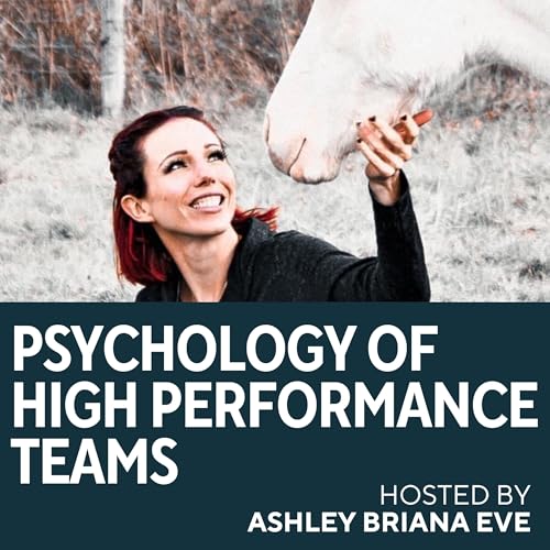 The Psychology of High Performance Teams Podcast Titelbild