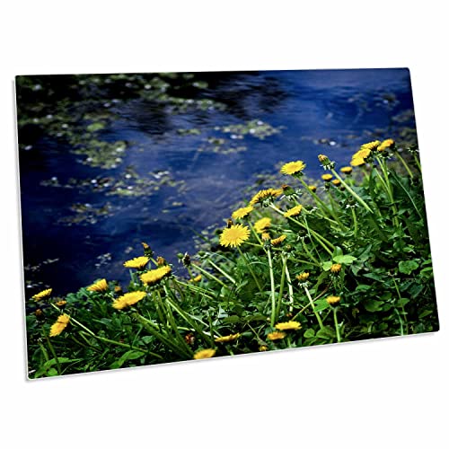 3dRose Pad para escritorio flores amarillas y pasto verde