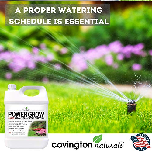 Liquid Lawn Fertilizer, 3-18-18 NPK Grass Fertilizer, Premium Lawn and Plant Nutrient Food – Year Round Concentrate for Best Value – All Grass Types – 32 OZ