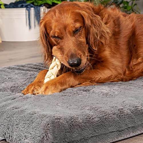 Pet Factory CareChewz Collagen 6-7\" Skinny Braided Sticks Dog Chew Treats - Natural Flavor, 15 Count/1 Pack - Thumbnail 2