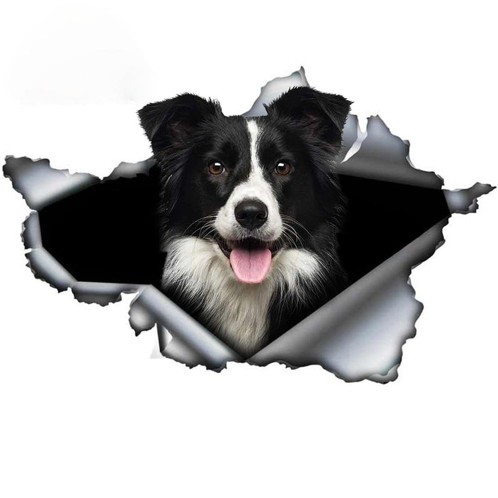Auto Accessory Pet Dog Decal Border Collie Torn Car Sticker Car Trunk Bumper(13cm)