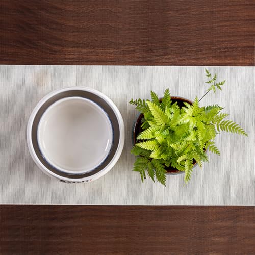Grand récipient hydroponique pour plantes grasses et plantes de lotus – Glaçage non poreux idéal pour l'intérieur – Jardinière d'eau et bol à bonsaï avec graines de lotus – Parfait pour la décoration