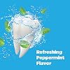 Chomp Toothpaste Tablets Refill Peppermint