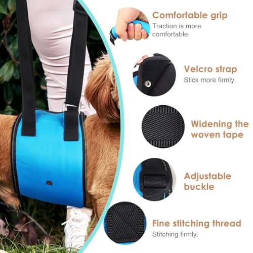 MHwan Tragehilfe Hund, Hundefreundliches blaues Design mit Verstellbarer tragegurt Hund, die behinderten und älteren Hunden beim Spazierengehen sicheren Halt bietet, treppenhilfe für Hunde (M)