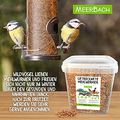 Mehlwürmer getrocknet, 800g (entspricht 5 L) getrocknete Mehlwürmer im praktischen Eimer, proteinreicher Snack für… – Bild 3
