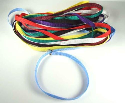 50 - Country Brook Design | 1/2 Inch 4 ft Polypro Grooming Slip Leads - Assorted Colors