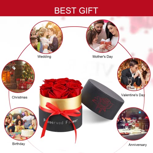 Houele Preserved Roses In A Box, Eternity Roses, Premium Roses, Real Roses That Last A Year And More, Fresh Flowers For Mothers Day, Valentines Day, Anniversary, Birthday, Bridal Gifts (Red: 7 Roses) #TOP4