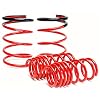 Skunk2 519-05-1672 Lowering Spring for Honda RSX