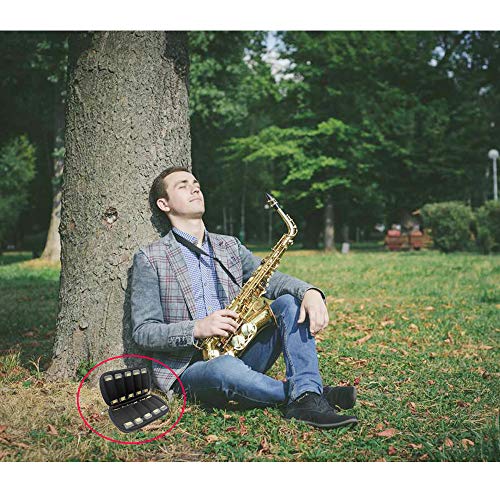 ZBY Reeds Case Compatible with 10 pcs D\'Addario Woodwinds丨Glory丨Yinama丨Protec Alto丨Tenor Alto Sax & Clarinet Reed Case (Black)