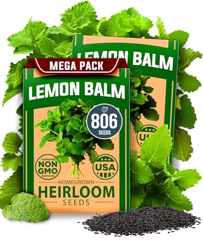 Image of HOME GROWN Lemon Balm Seeds- 806 Non GMO Heirloom Seeds for Planting - Melissa officinalis Herb for Tea, Garden, Indoor or Outdoor Growing-Plant for Pots, Beds & Hydroponics(Melissa officinalis)