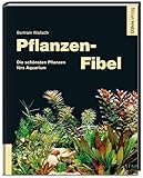 pflanzen fur nordseite im garten  Pflanzen-Fibel - Die schönsten Pflanzen fürs Aquarium