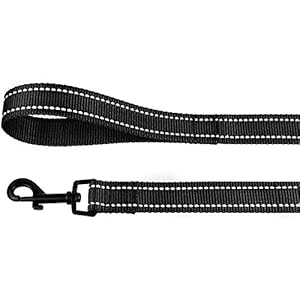 Collardirect Nylon Dog Leash 5ft for Daily Outdoor Walking Running Training Heavy Duty Reflective Pet Leashes for Large Medium  Small Dogs m Black  Cucciolini Doodles Collardirect nylon dog leash 5ft for daily outdoor walking running training heavy duty reflective pet leashes for large medium  small dogs m black   cucciolini doodles