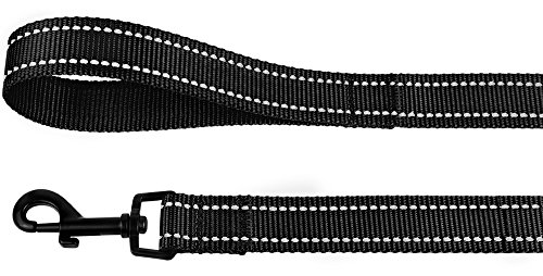 Collardirect Nylon Dog Leash 5ft for Daily Outdoor Walking Running Training Heavy Duty Reflective Pet Leashes for Large Medium  Small Dogs m Black  Cucciolini Doodles Collardirect nylon dog leash 5ft for daily outdoor walking running training heavy duty reflective pet leashes for large medium  small dogs m black   cucciolini doodles
