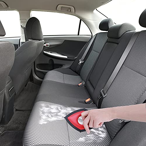 Molain Katzen- & Hundehaarentferner - Mini Tierhaarentferner für Auto, Haus & Möbel