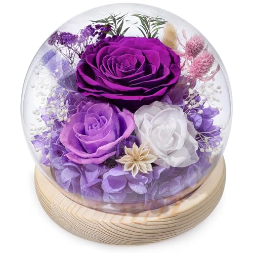FIACO Gifts for Mom Mothers Day Women Birthday Preserved Flowers in Glass Dome Forever Fresh Flowers for Delivery Eternal Roses Gifts for Grandma Wife Daughter Friends