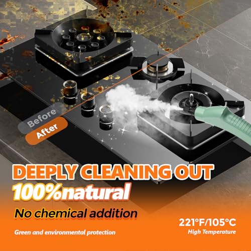 Dampfreiniger, Dampfreiniger Handgerät, 1.1L Wassertank, 15 Sekunden Aufheizzeit, Hochdruck Steam Cleaner, Dampfreiniger für Alles, Tragbarer Steamer für Auto, Küche, Badezimmer, Fliesen - Grün