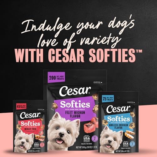 Cesar Softies Filet Mignon Flavor Chewy Soft Dog Treats, 18 oz - image 8
