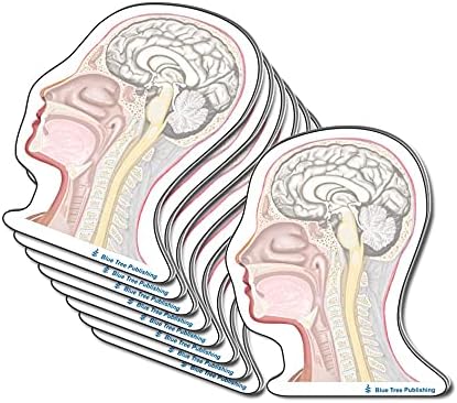 Skull Sticky Note (10)