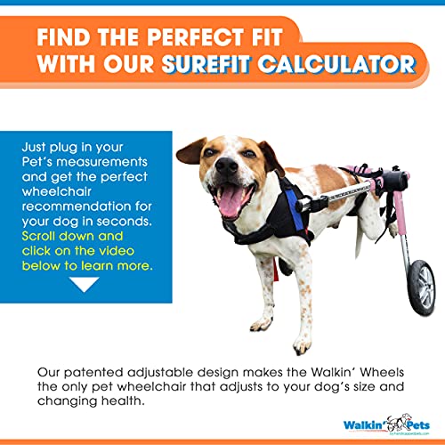 Dog Wheelchair - For Medium Dogs 26-49 Pounds - Veterinarian Approved - Dog Wheelchair For Back Legs #TOP4