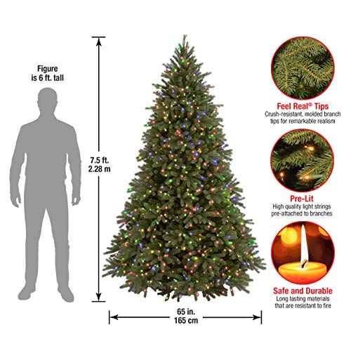 National Tree Company 7.5 ft Pre-Lit Jersey Fraser Fir Artificial Christmas Tree, 1,250 Multicolor Lights, 3,144 Tips, Includes Stand, Green - Image 5