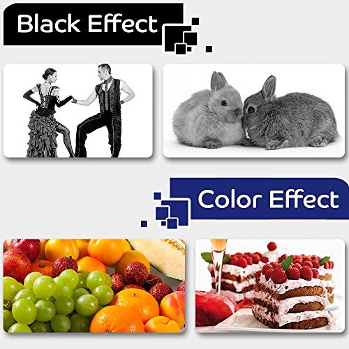 JIMIGO Premium Refill Ink for Epson L380 Printer Compatible with Epson T664 Eco Tank L130 L220 L360 L380 L361 L655 L310 L405 L565 L365 L485 L1300... - Image 5