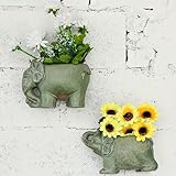 MONMOB Set of 2 Vintage Elephant Planter Wall Planter Hanging Planter Pot Flower Planter Succulent Pot Indoor Outdoor Garden Pots Elephant Gifts