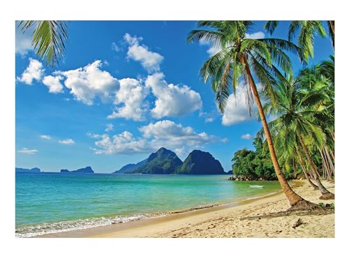 Funnytree 7x5ft Summer Tropical Beach Backdrop Seaside Island Palm Trees Photography Background for Picture Blue Sea Sky Sunshine Luau Themed Party Decorations Photo Booth Studio Props