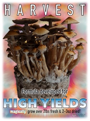 Easy Mushroom Growing Kit for Manure Loving Varieties