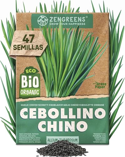 ZenGreens® - Semillas de cebollino chino ecológicas - Semillas de hierbas para cultivar fácilmente en el jardín, balcón o cocina - ideal para principiantes