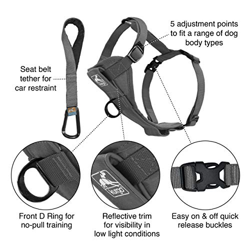 Kurgo TRU-Fit Smart Dog Walking Harness – Bequeme Passform – verstellbares Geschirr – reflektierende Haustierkleidung – Schnellverschluss – Zubehör für den täglichen Spaziergang – inklusive