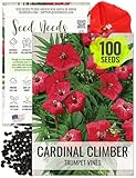 Seed Needs, Cardinal Climber Seeds - 100 Heirloom Seeds for...
