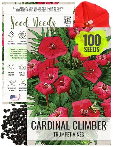 Seed Needs Cardinal Climber Seeds to Plant Red Flowering Vines 1 Pack