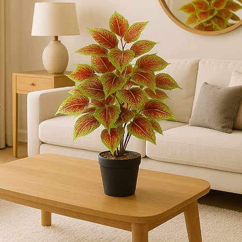Image of Habere India-All the Cultures Fabricating India Artificial Plant with Pot for Home Decor | Fake Plants for Living Room Decoration | Artificial Plants for Decoration (Design 01; L21 x W21 X H39 cm)