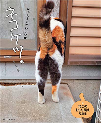 キンドル 無料電子書籍 ネコケツ* (myway mook) バイ