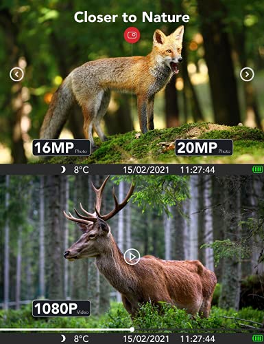 Wildkamera 20MP 1080P FHD 0,4s Auslösegeschwindigkeit mit Nachtsicht-Bewegungsaktivierter wasserdichter Outdoor… – Bild 3