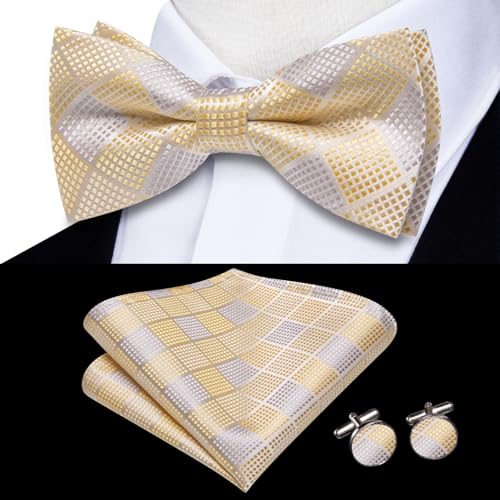 Image of Dubulle Mens Paisley Striped Bowtie Set Pre-tied Bowtie for Men and Pocket Square Set Wedding Business