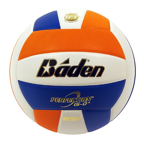 Buy Baden VX5EC Perfection Elite Official Size Leather Game Volleyball