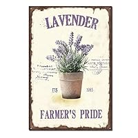 *️⃣プロフ必読 ❣️Xmasプレゼント❣️アンティークガーデニング ブリキ アイアン Amazon.co.jp: ガーデニング雑貨 アンティーク ガーデニンググッズ