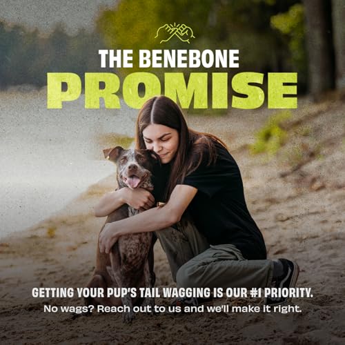 Benebone Kauspielzeug für Hundeknochen aus Naturkautschuk, Naturkautschuk