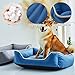 RUYICZB Dog Beds for Small Dogs, Cat Beds for Indoor Cats, Soft Calming Sleeping Orthopedic Dog Bed, Puppy Sofa Bed Pet Couch Bed with Removable Washable Cover Slip-Resistant Bottom,Beige,XL