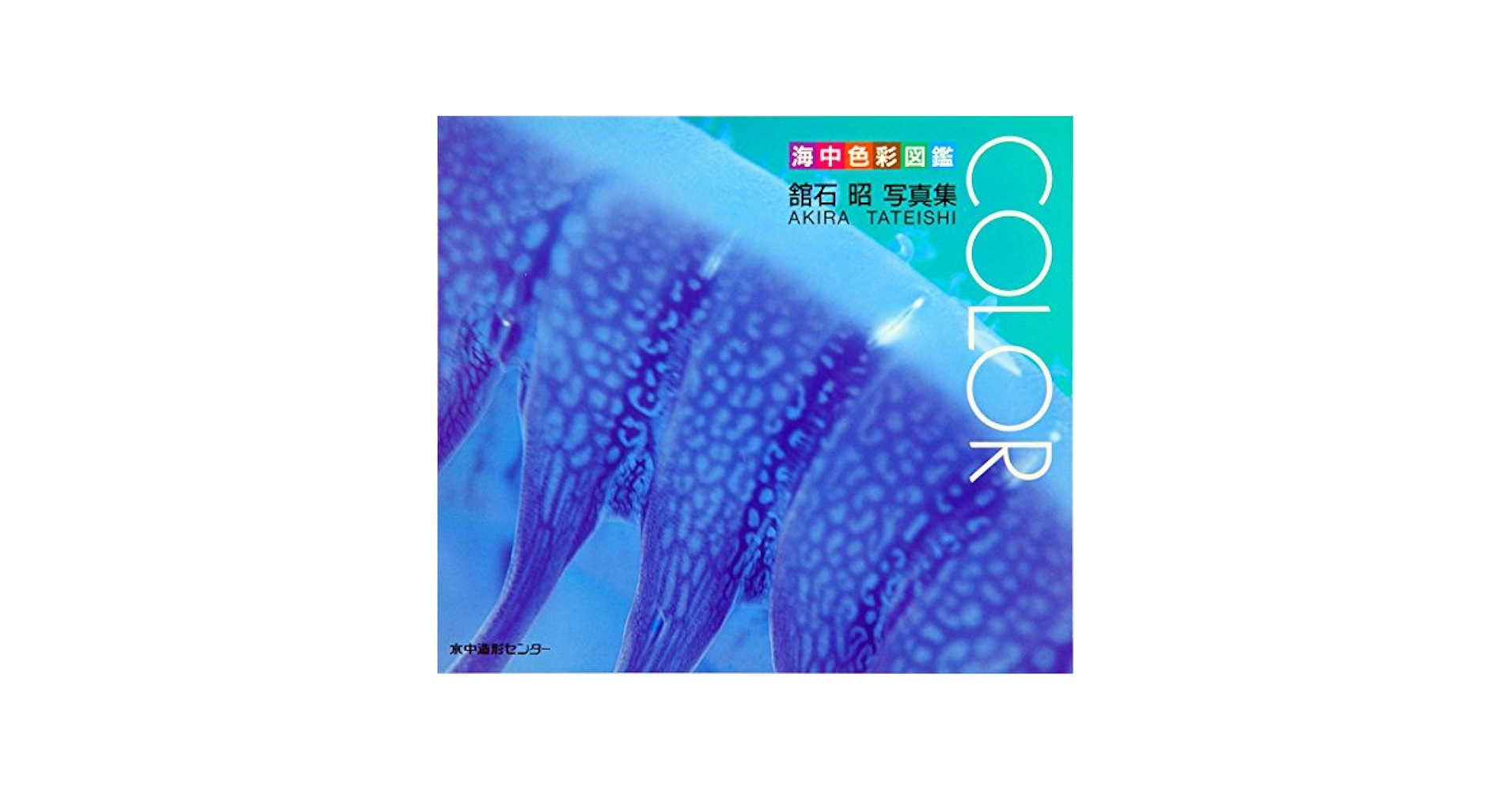 値下げ❗️舘石昭写真集　水中造形センター　海写真集　水中写真集　海と島の旅　レア 舘石昭写真集 水中造形センター 海写真集 水中写真集 海と