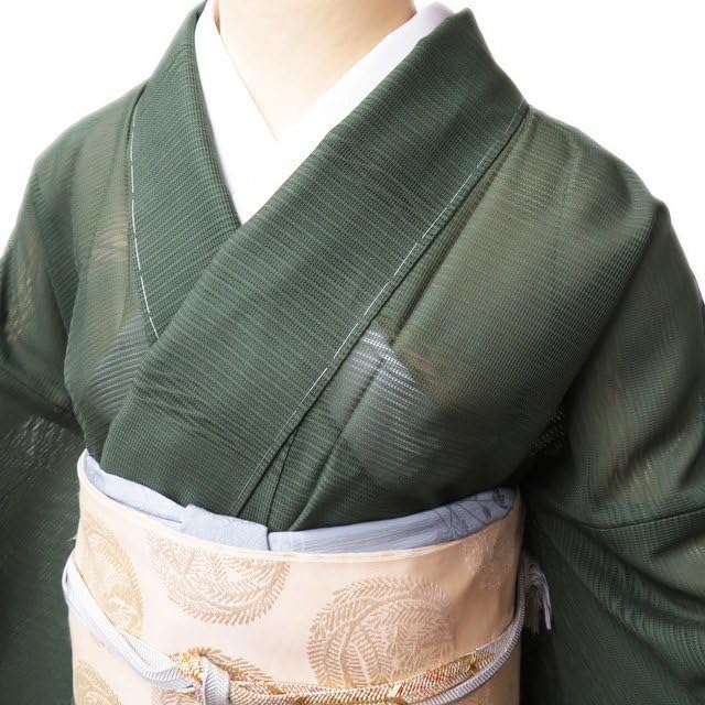 Amazon.co.jp: 夏物 付下げ 付け下げ 着物 正絹 フォーマル ぼかし染め  