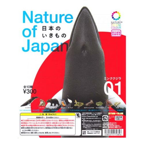 奇譚クラブ ネイチャーテクニカラー 日本のいきもの 02 全10種 コンプセット Amazon | ネイチャーテクニカラー 日本のいきもの 02 全10種