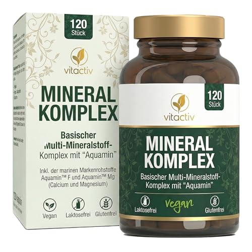 VITACTIV Mineral Komplex - Markenrohstoff Aquamin, Marines Calcium & Magnesium (2:1) - Basische Mineralstoffe & Spurenelemente mit Zink für Säure-Basen-Stoffwechsel - Vegan, Hochdosiert, 120 Kapseln