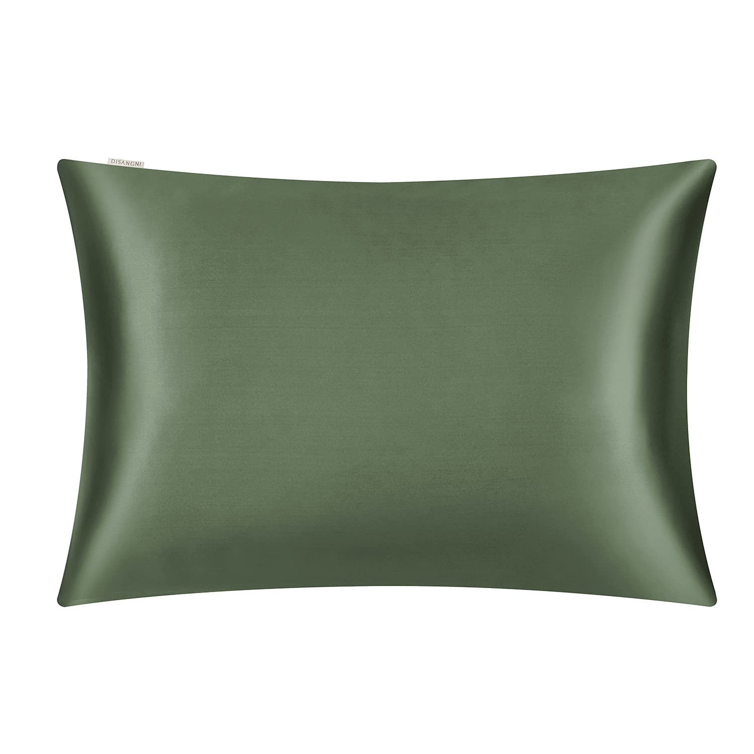 DISANGNI 100% Silk Pillow Cases 2 Packfor Hair and Skin,with Hidden Zipper 22 Momme Both Sides Pure Natural Mulberry Silk Real Silk Pillow Case (2 pc Standard Size 20"x26" Green)
